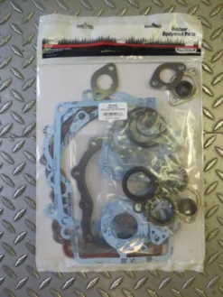 Oregon Briggs & Stratton Engines 495868 50-436 Gasket Set